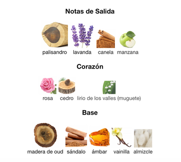 Alexandria II Oud Stars