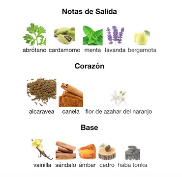 Le Male Pride Collector