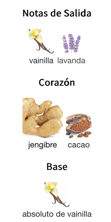 Club de Nuit LionHeart Women